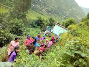 Tehri farmers showing finger millets with black gram