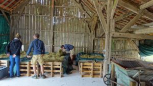 Hangar de séchage du conservatoire de la Ferme Sainte-Marthe Sologne